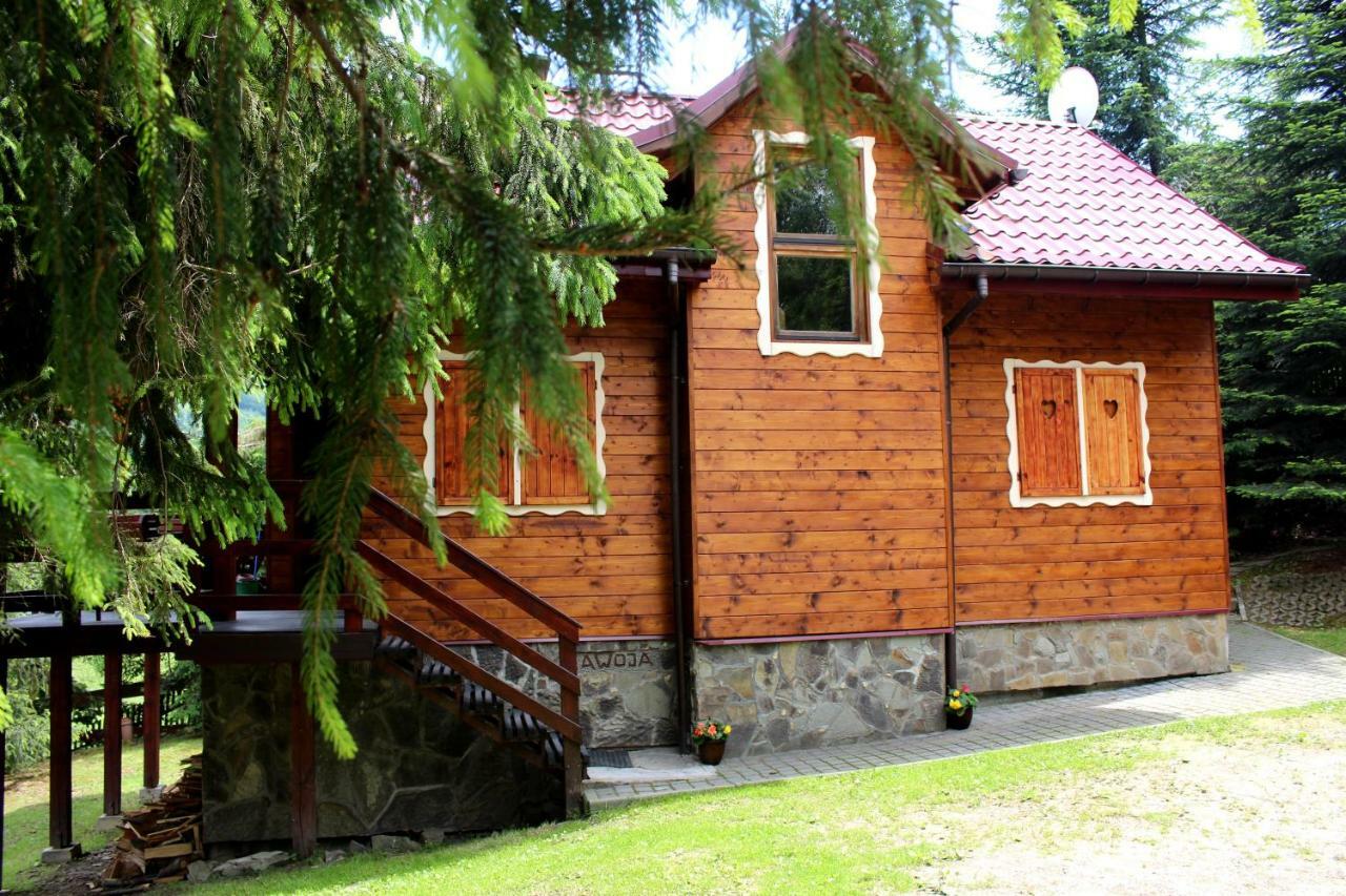 Gorskie D2 Chalet Zawoja