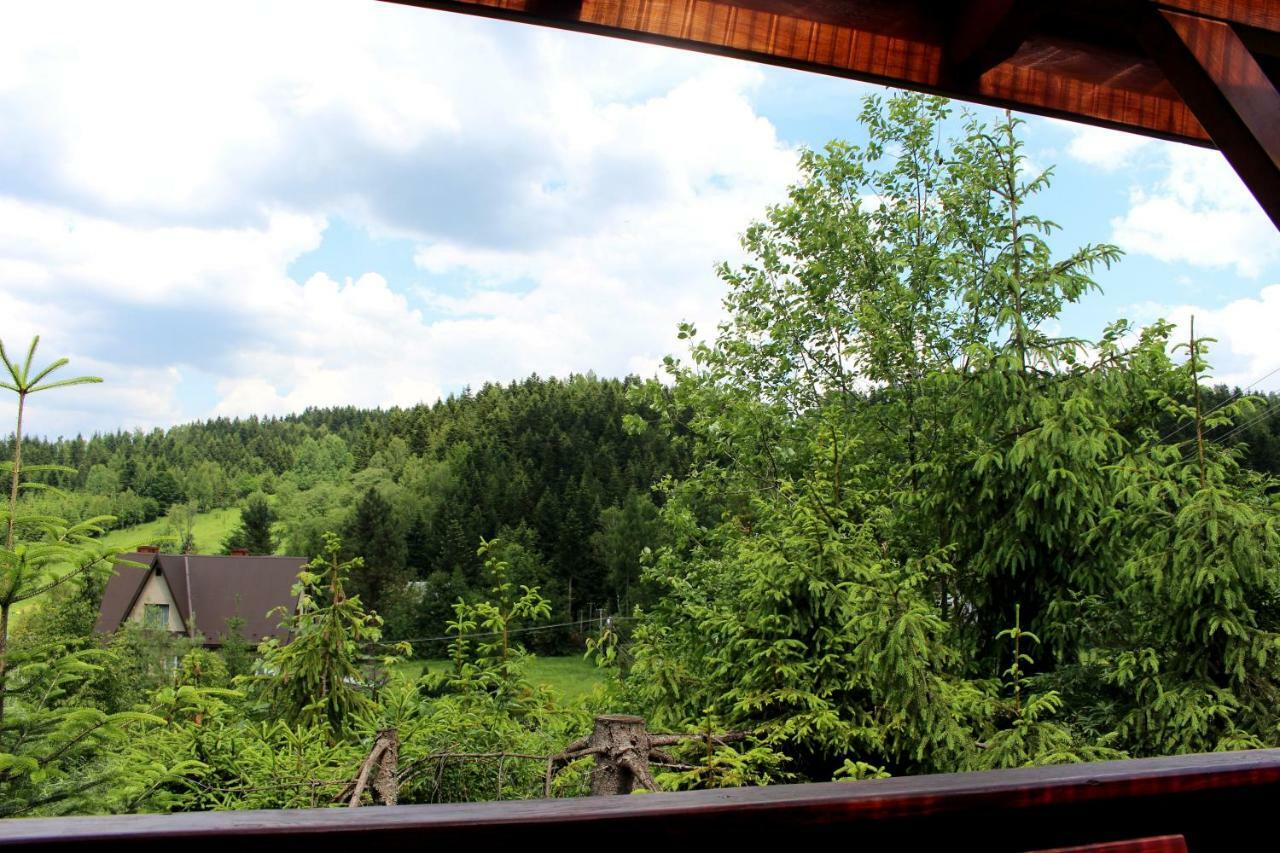 Gorskie D2 Chalet Zawoja